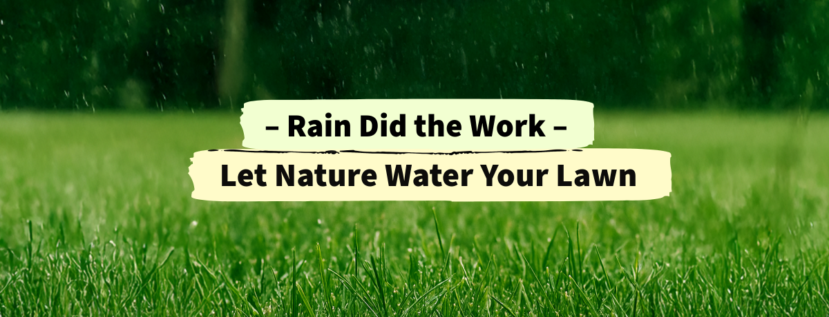 Rain and Irrigation
